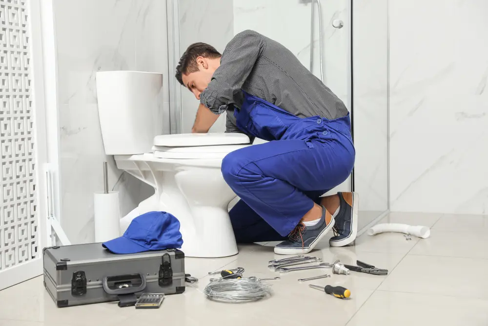 Toilet Installation in Devon